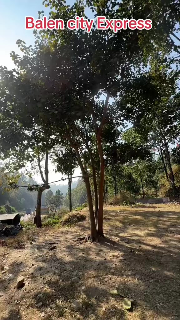 @Meghraj Raut