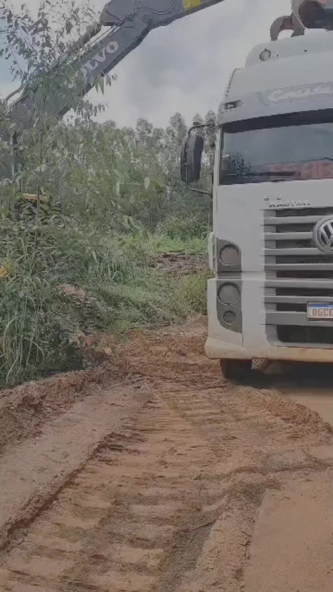 @Thales Almeida 🦾🌲