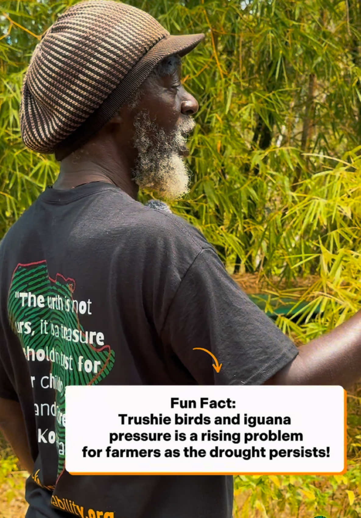 @Black Sustainability, Inc.