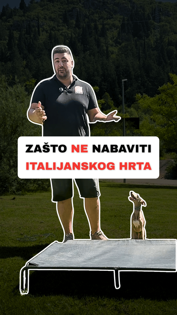 @superdog.akademija