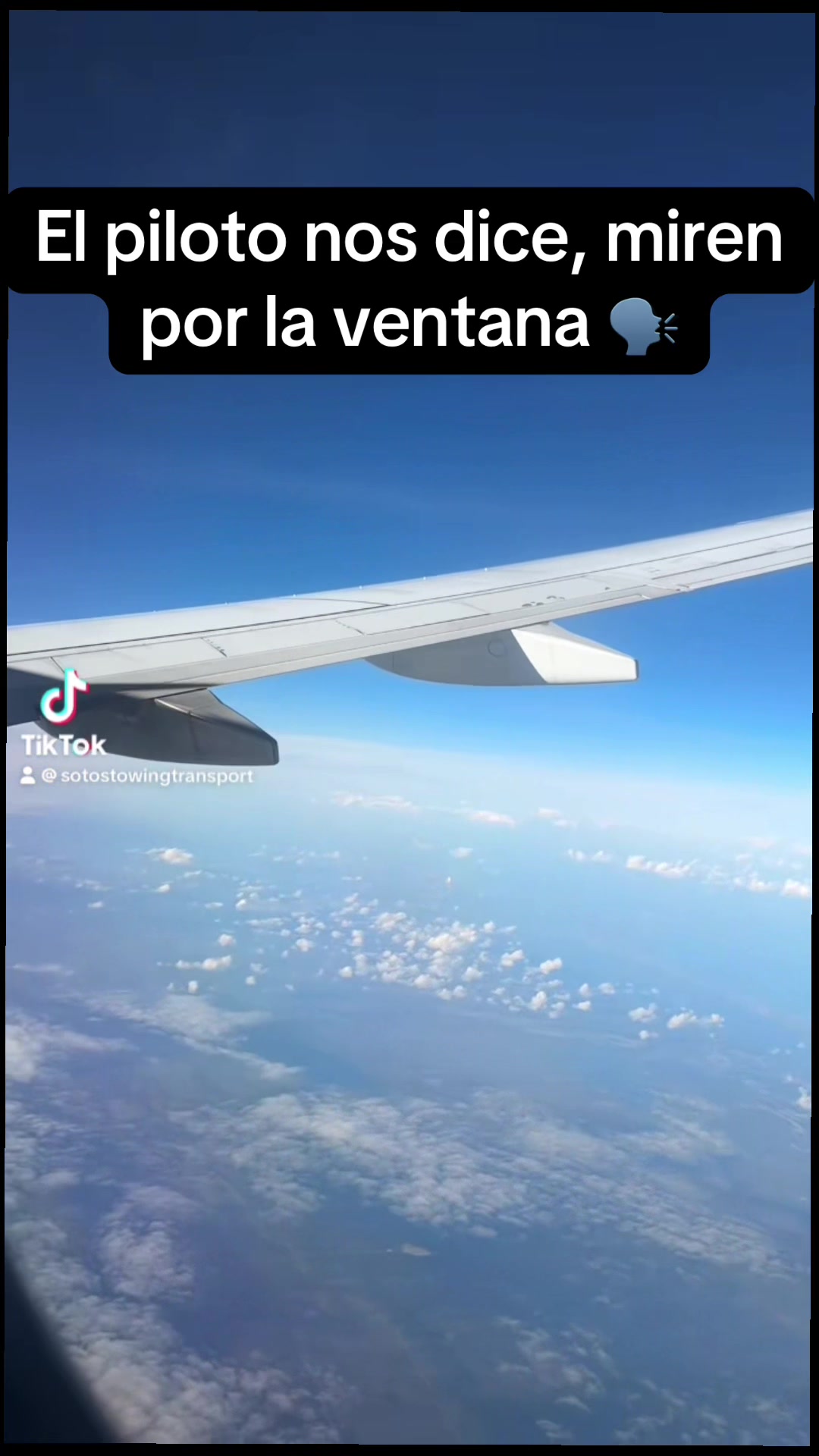 @Miguel Soto🇵🇷🫡