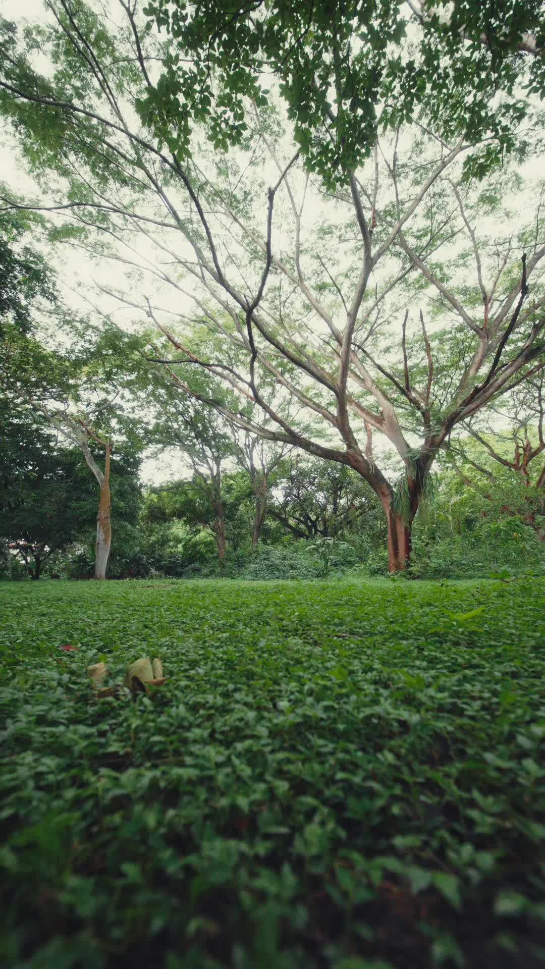 @RŪH