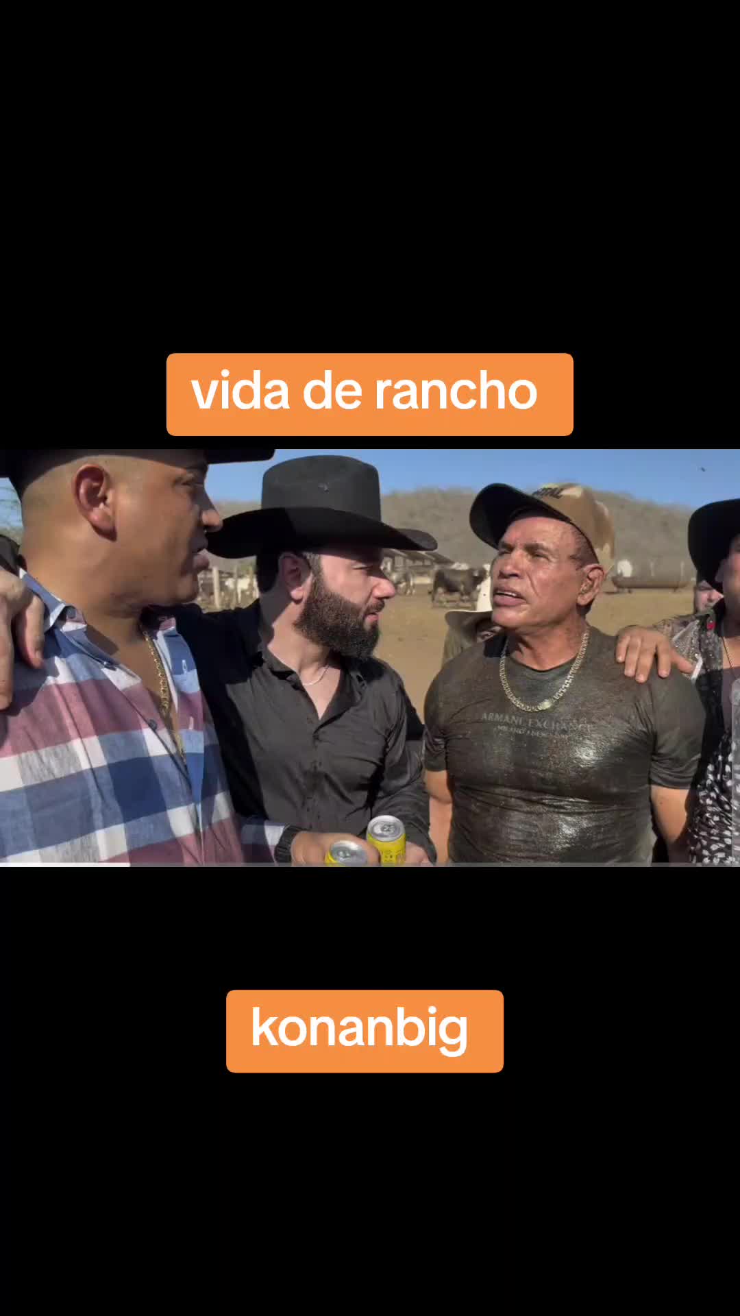 @Chismecito Suculento VIP