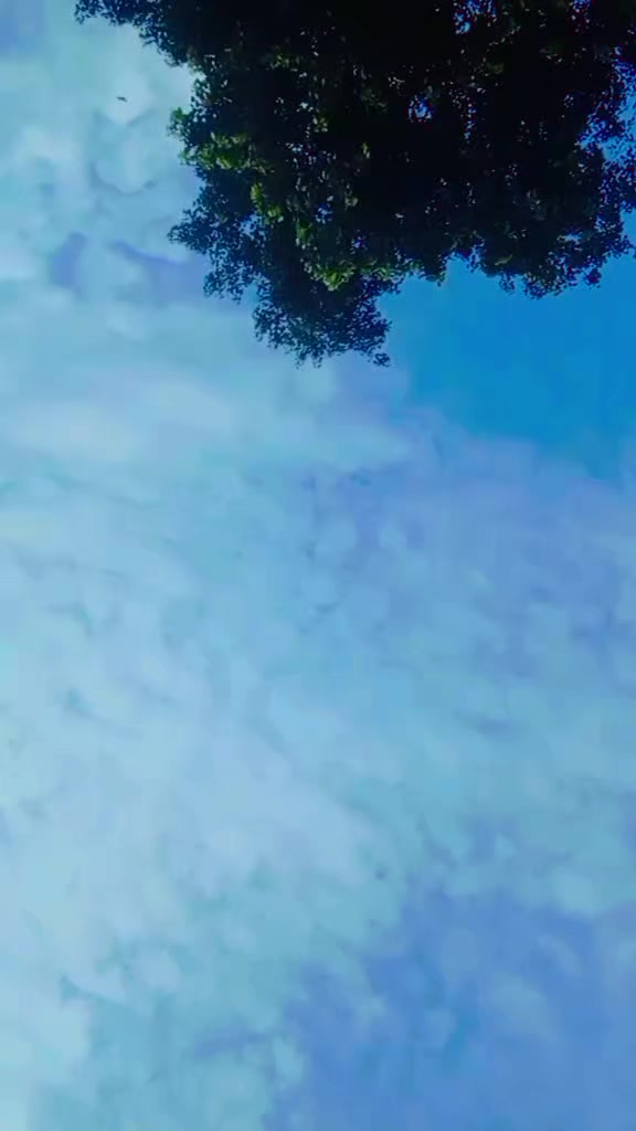 @☆࿐ཽ༵༆༒राधे राधे༒༆࿐ཽ༵
