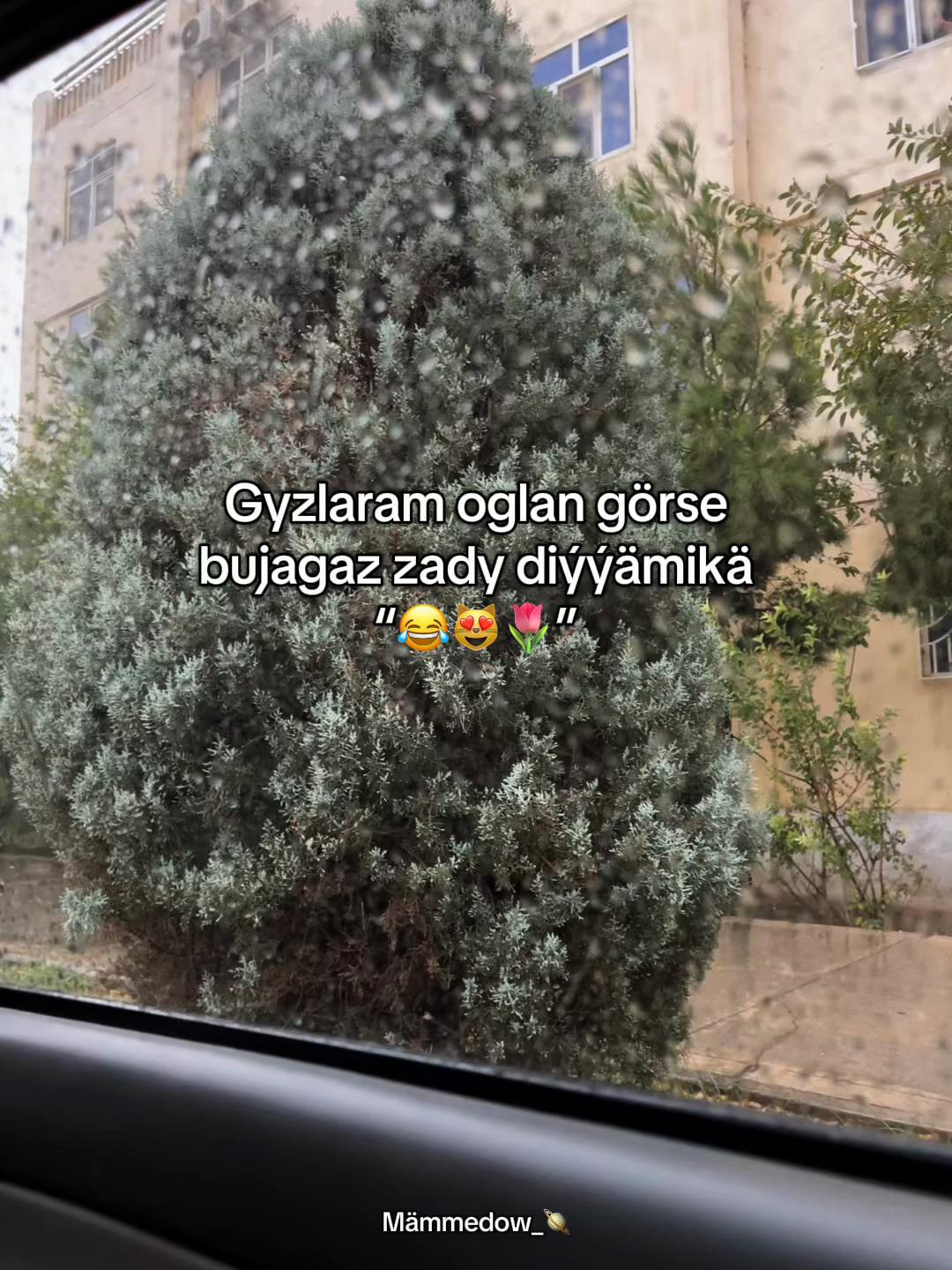 @Mämmedow_🪐