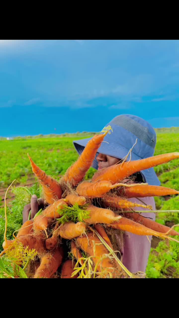 @Kakunaa The Farmer