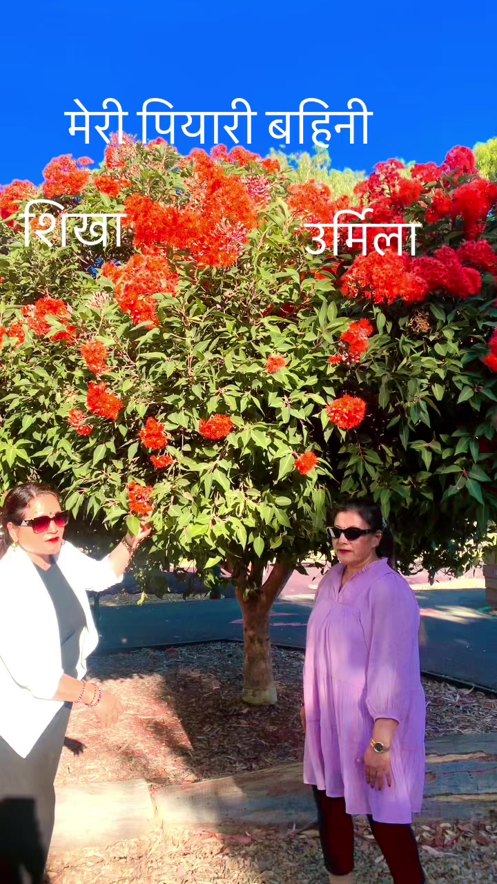 @sikha