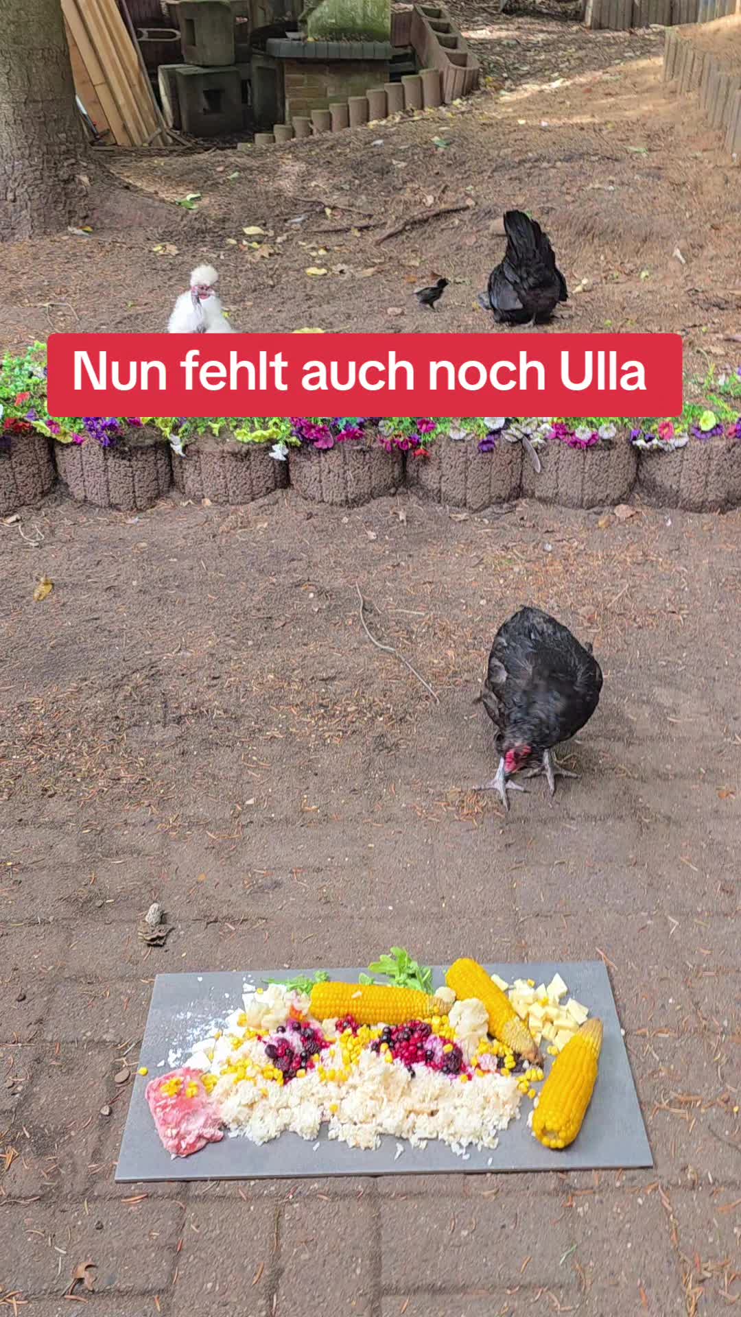 @Janine&Schatzi die echten