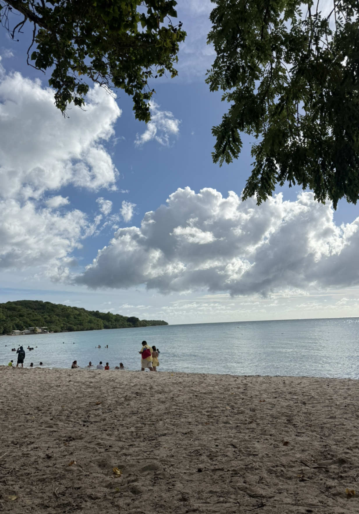 @Belton Tyrone 🇵🇷