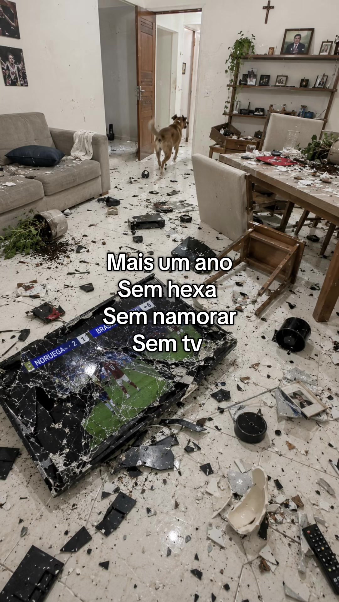 @denismfreitas