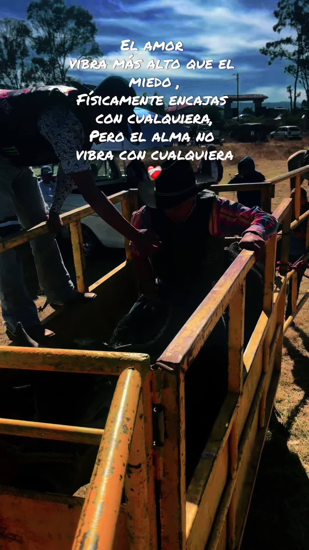 @Emilio Alvarez