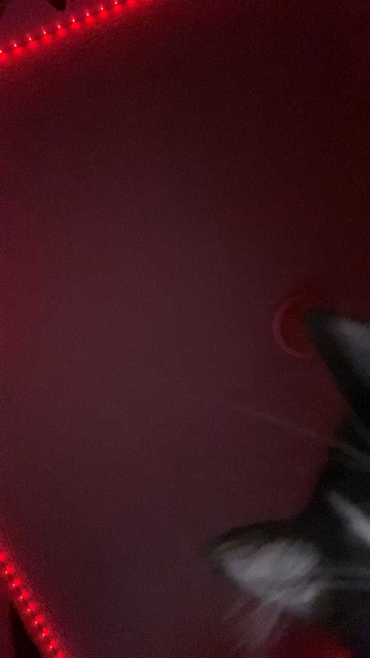 @Raccoonwizard21