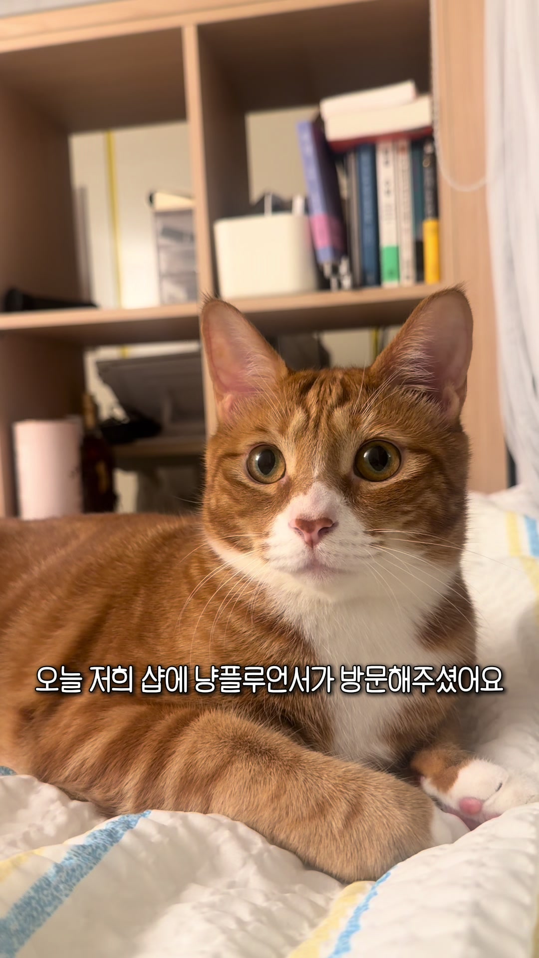 @뮤춘삼