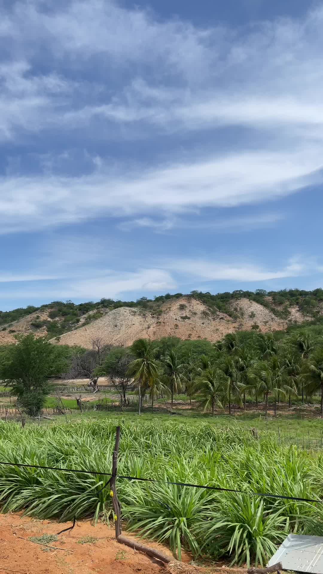 @Quelinha