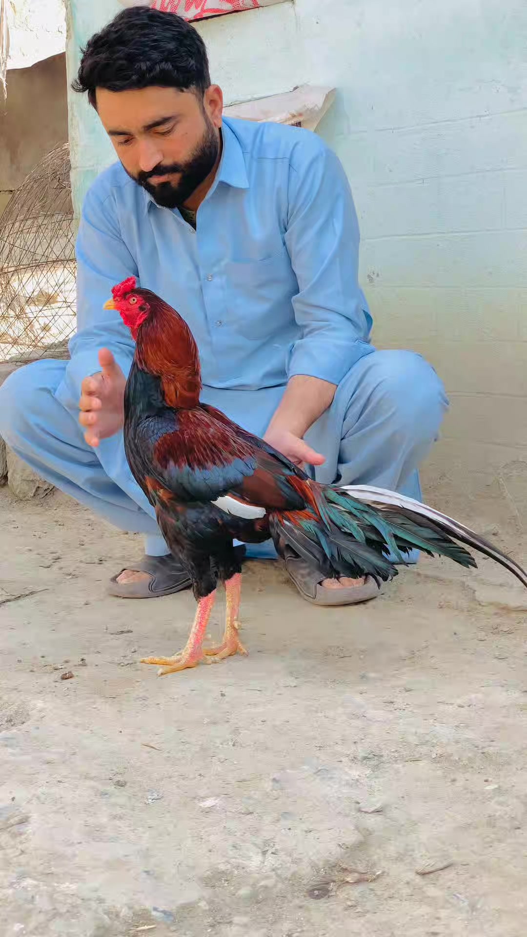 @🌿Syed IftiKHaR SHaH🌿