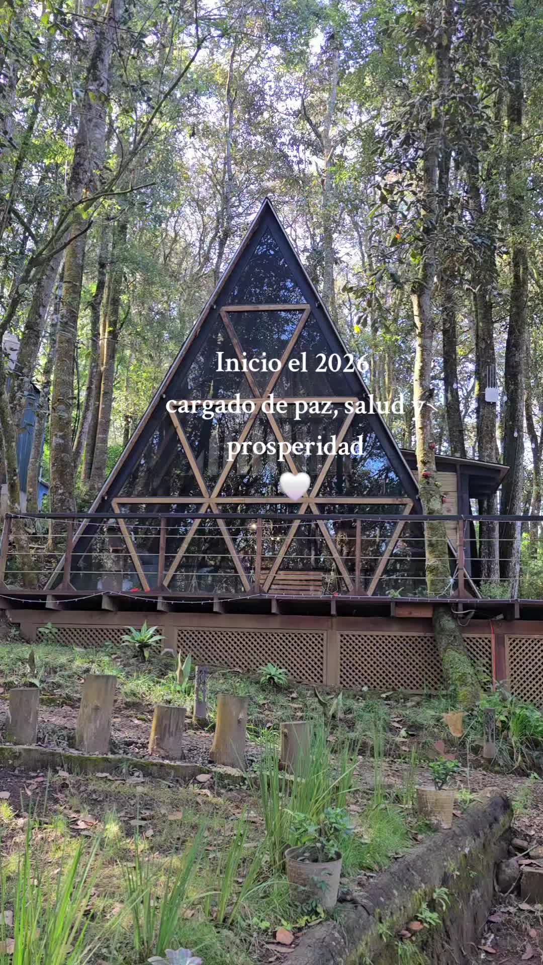 @Yoja ❤️🦋
