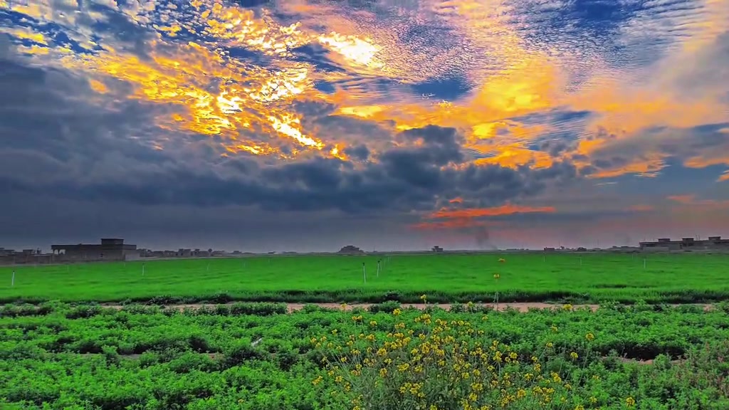 @علوش