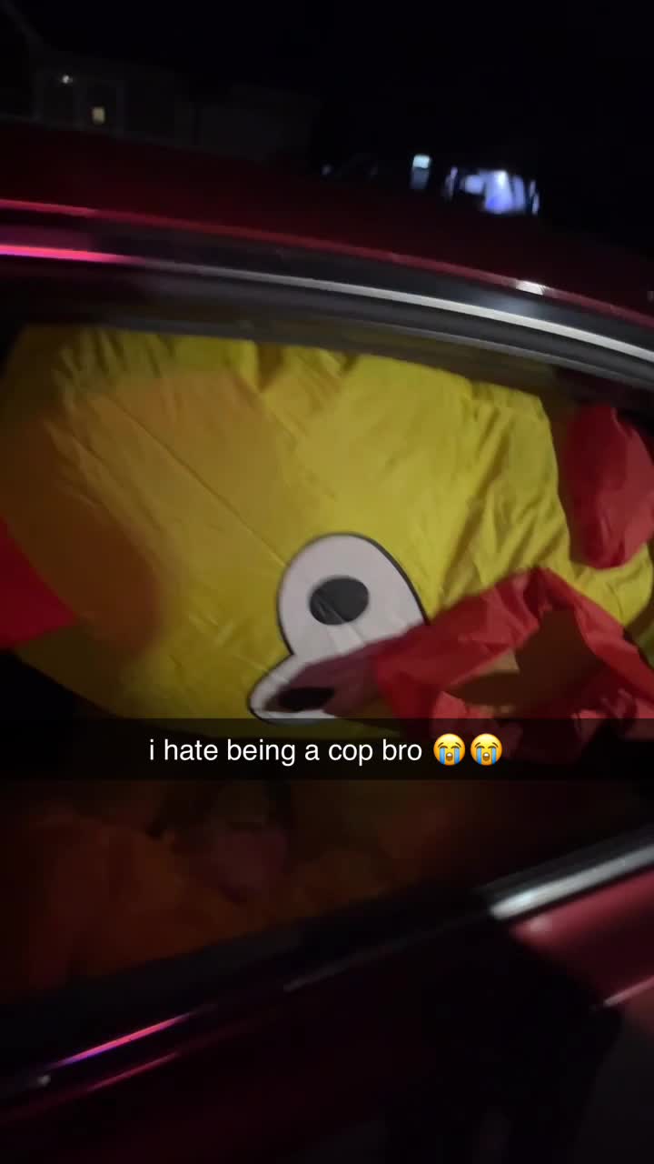 @dawizd