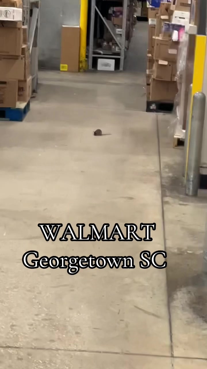 @Bocka