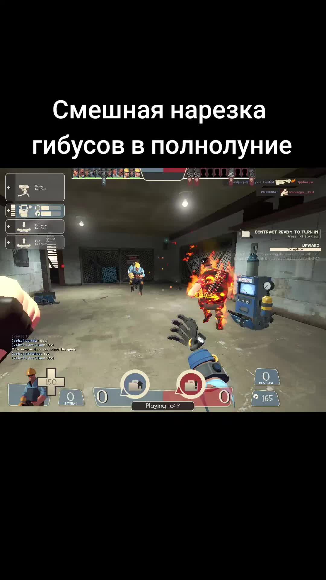 @лапушня