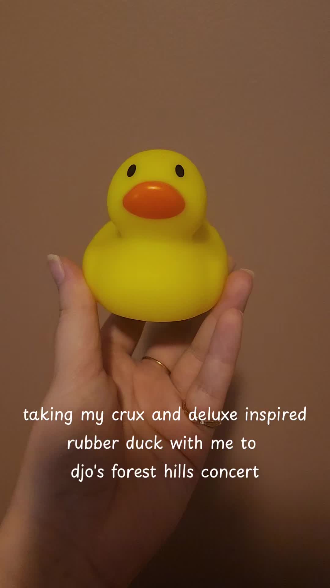 @Lord of the Ducks