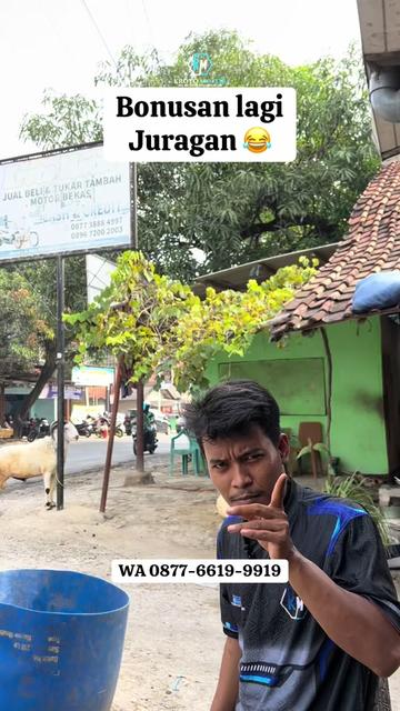 @Kroto Motor Widasari