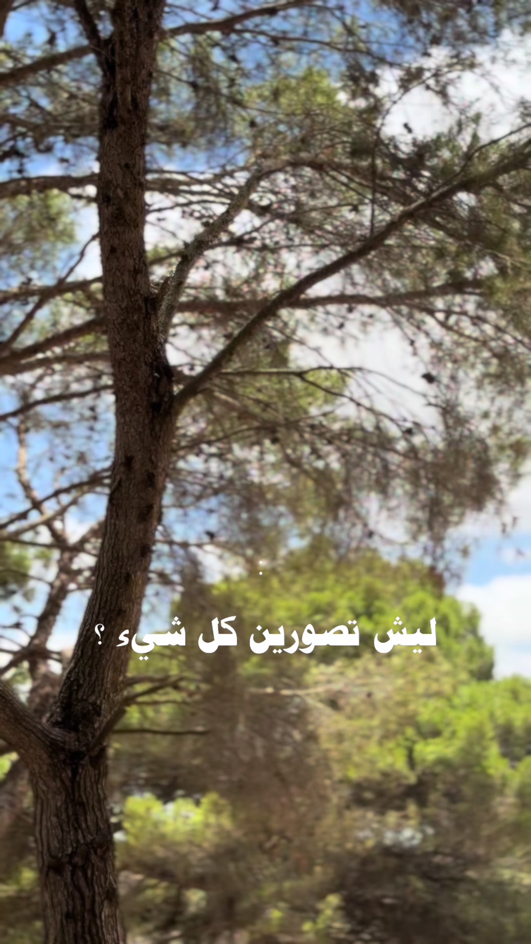 @مامت هومي🤍'