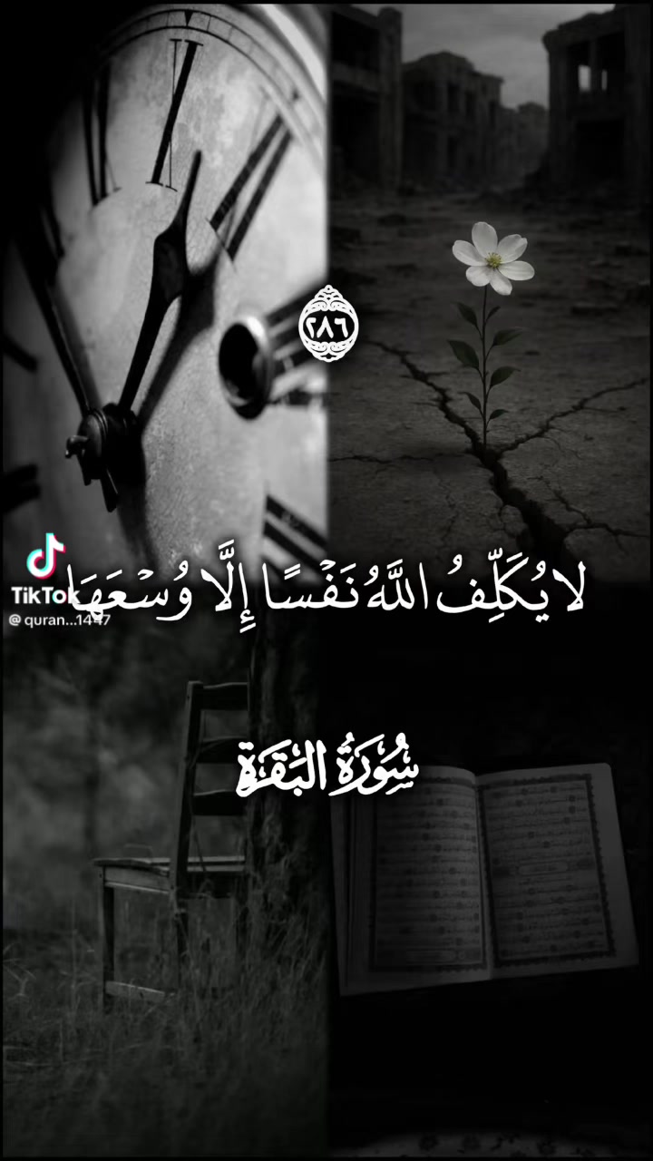 @الاسسسود ابوسند