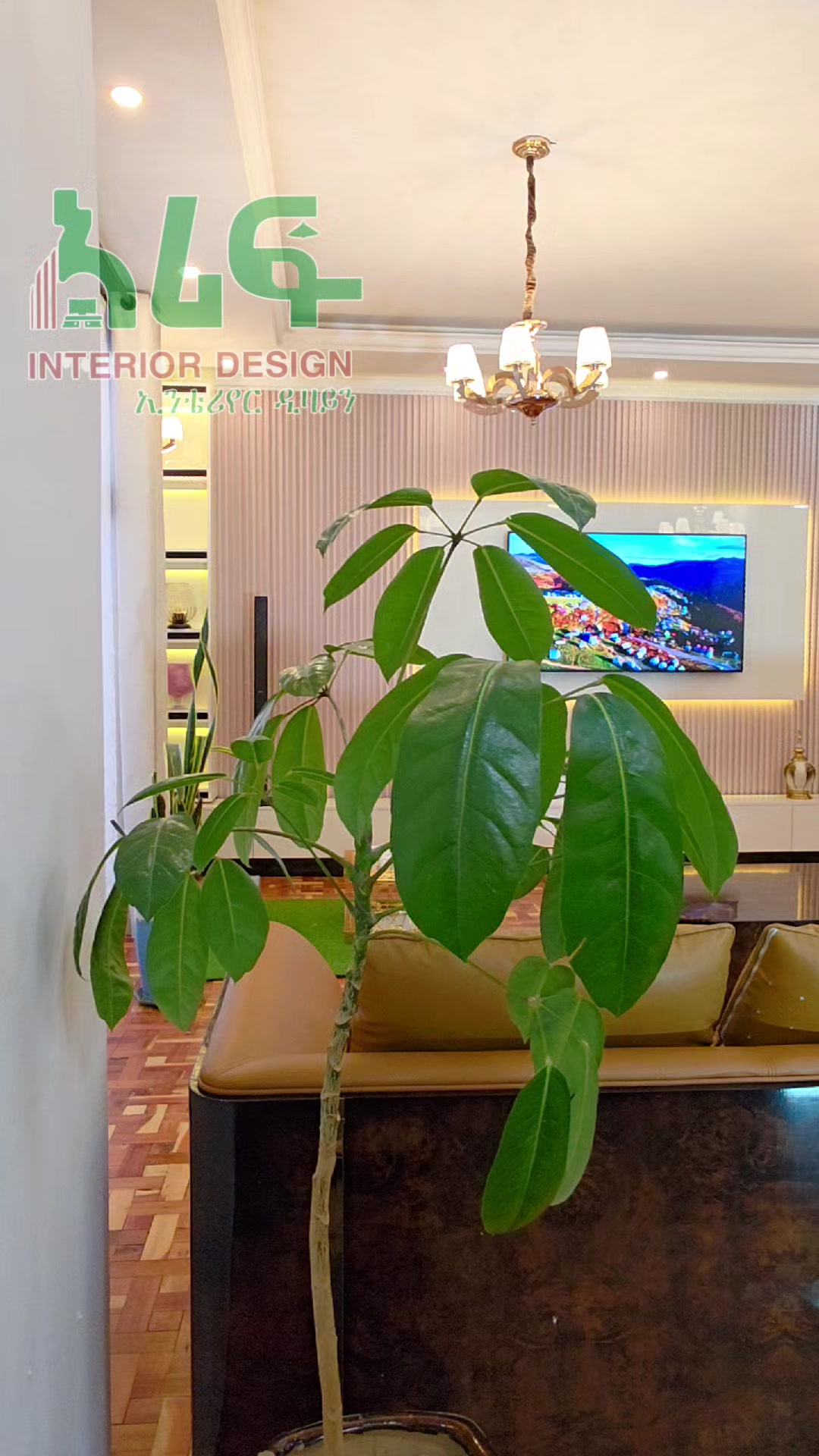 @Arif_interior_design