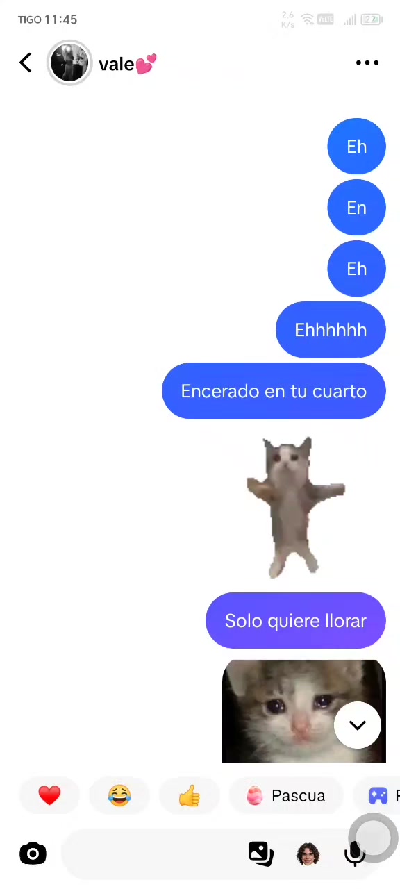 @🐼PANDA🐼