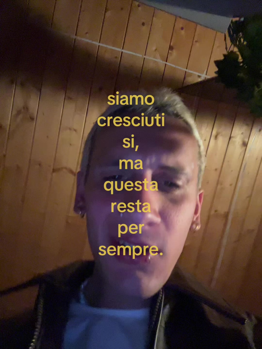 @aleale1310