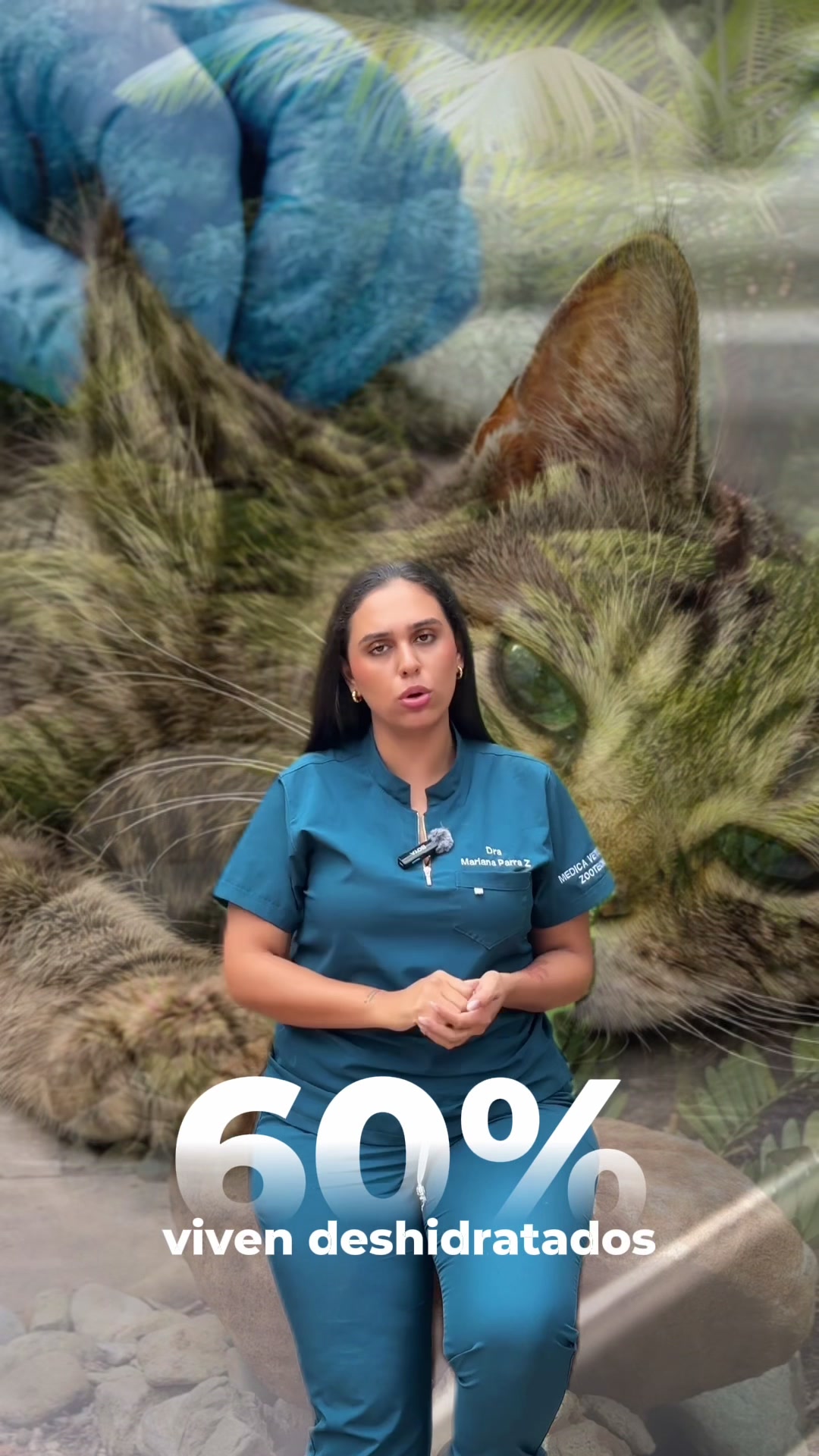 @Mariana Parra