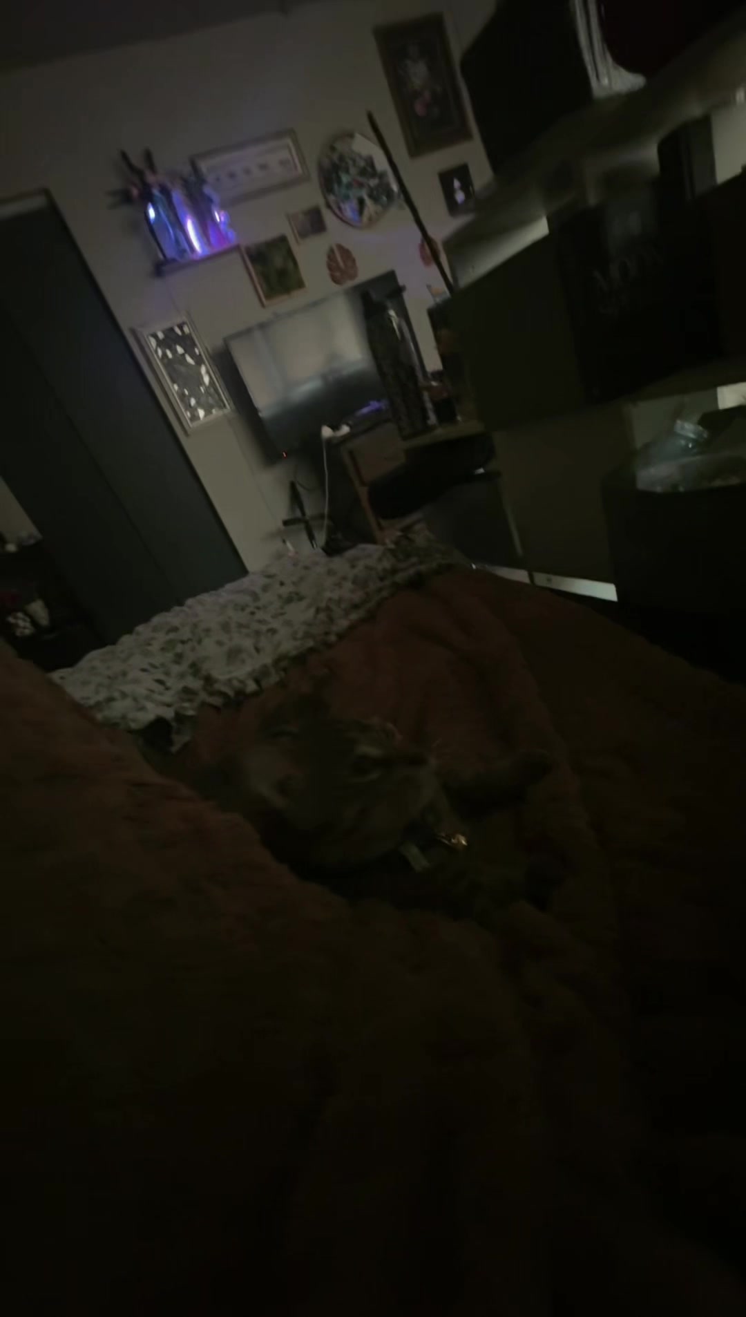 @hAmh0xhitta