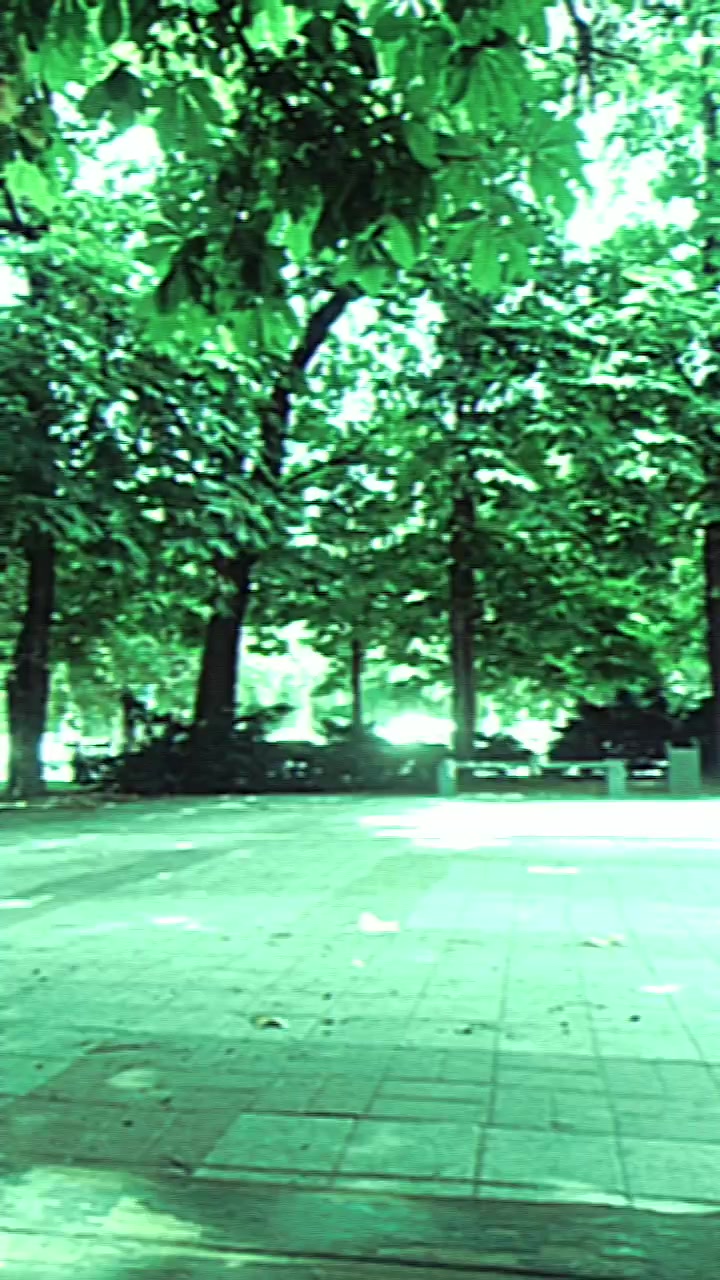@⦻ 𝐼𝑟𝑖𝑠⦻~