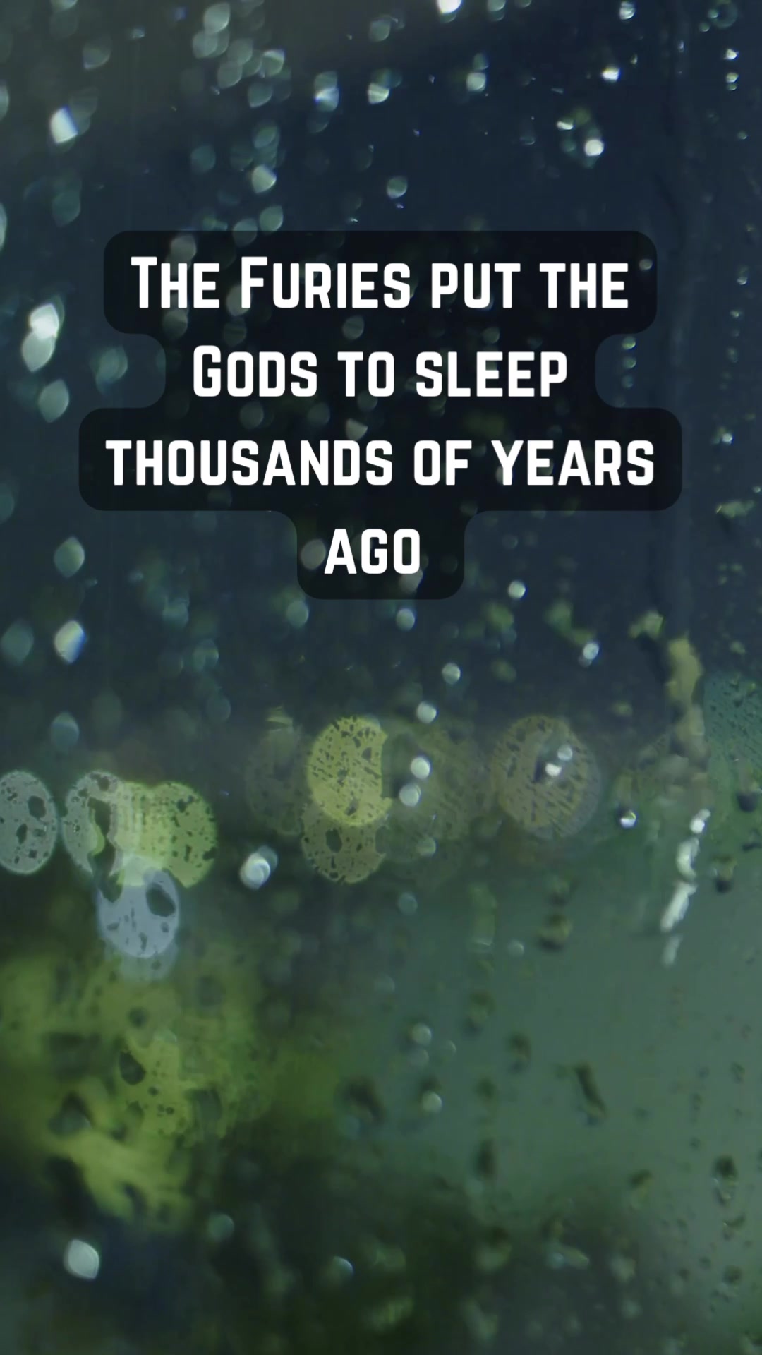 @Lizzy Prince (author)