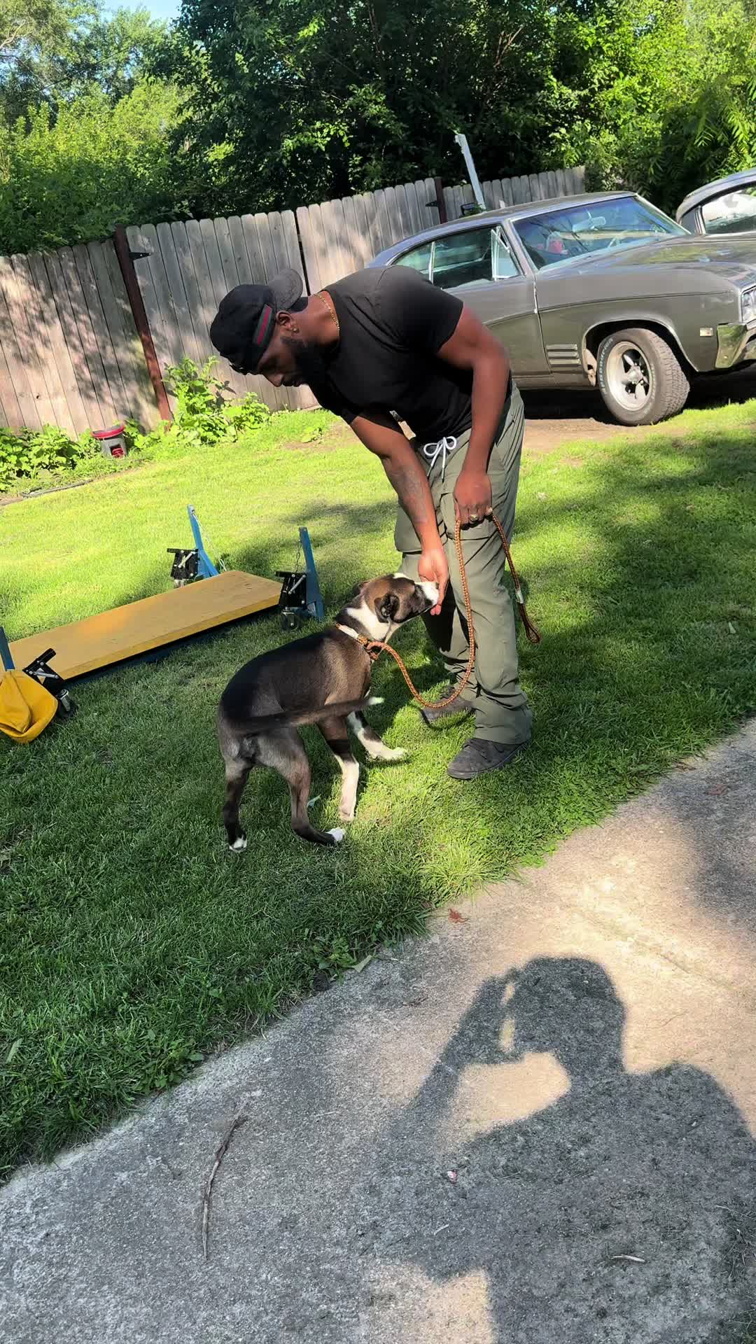 @Boss Canine