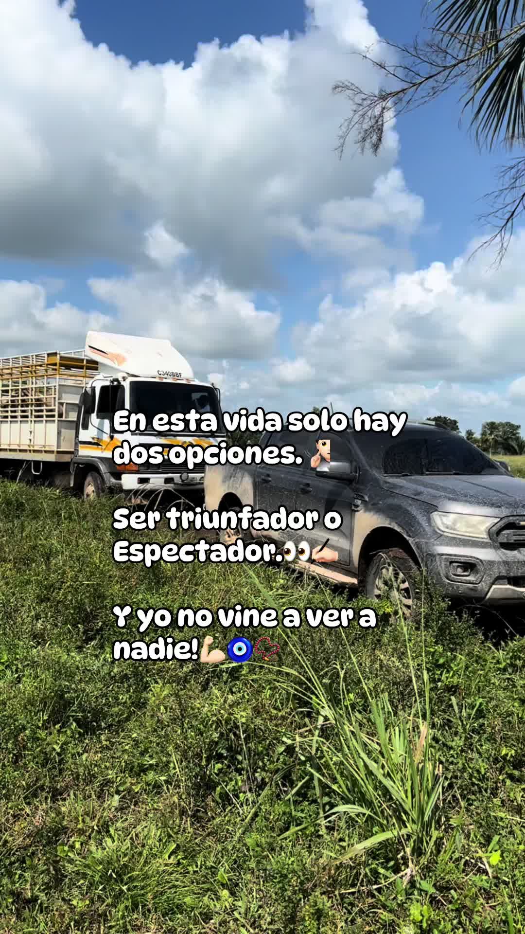 @Andy Reyes