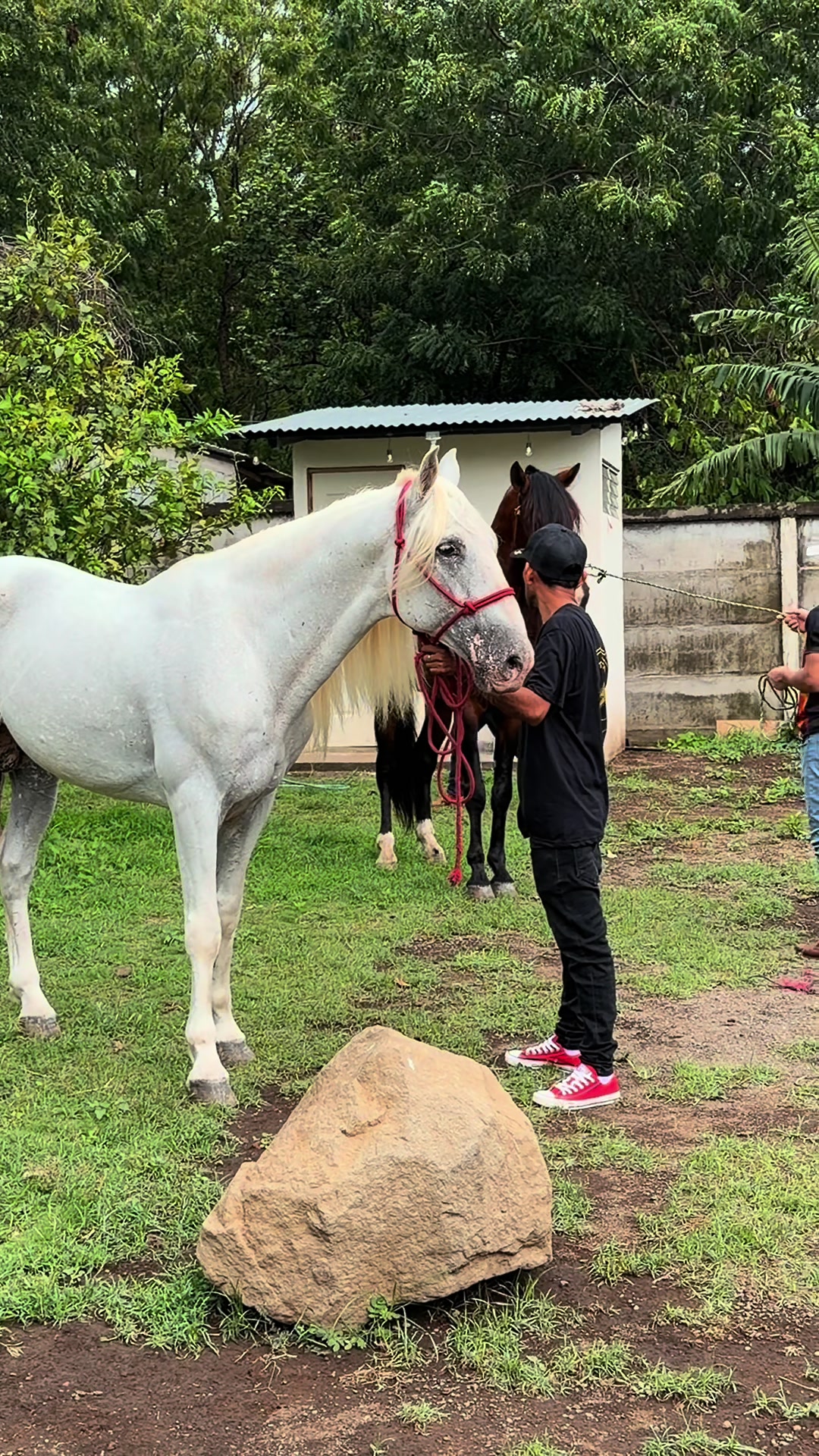 @EQUINOVET NICARAGUA