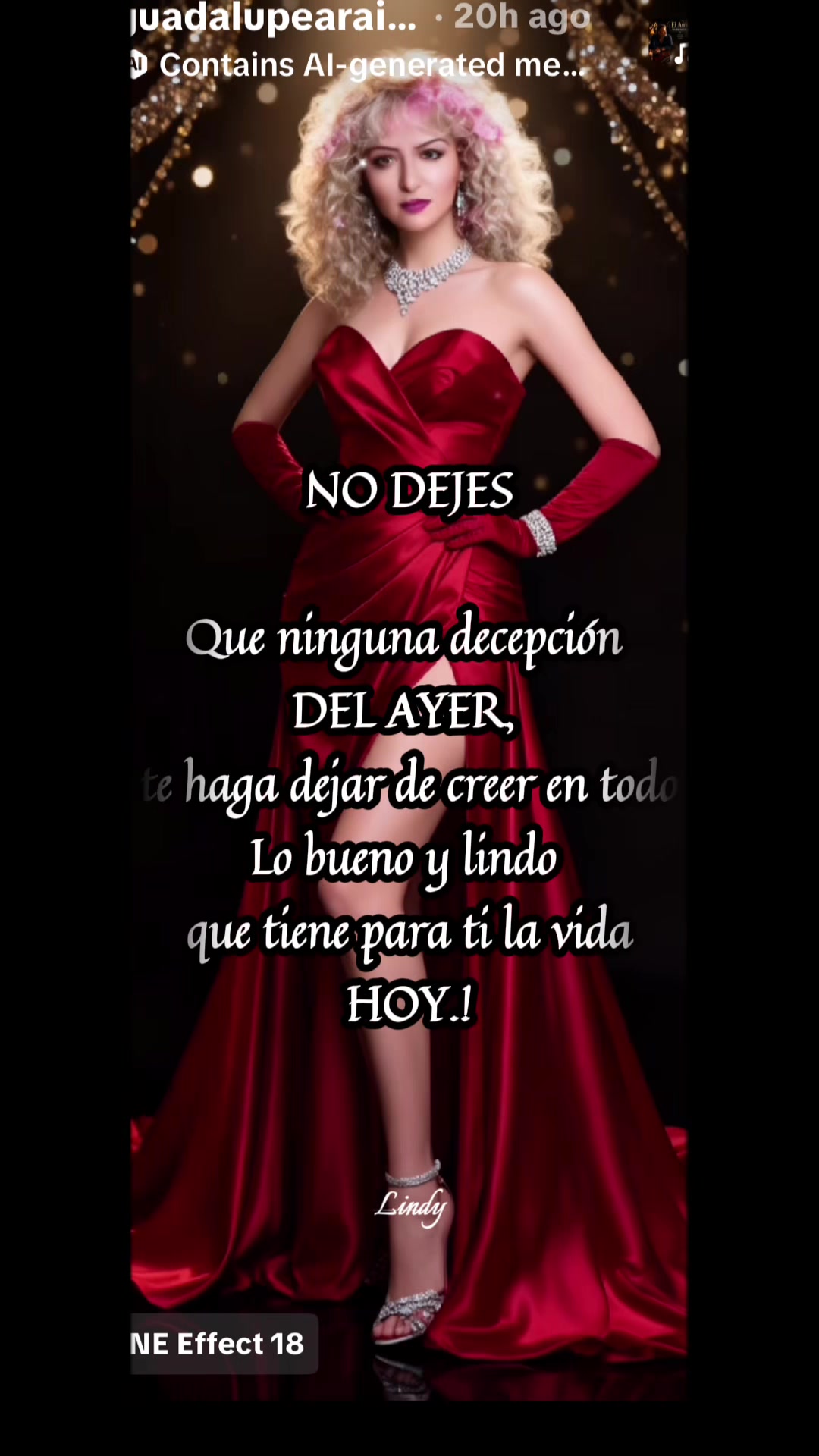 @guadalupearaiza335