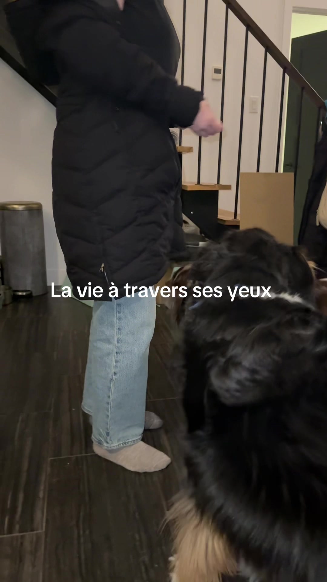 @Casandra Labbé