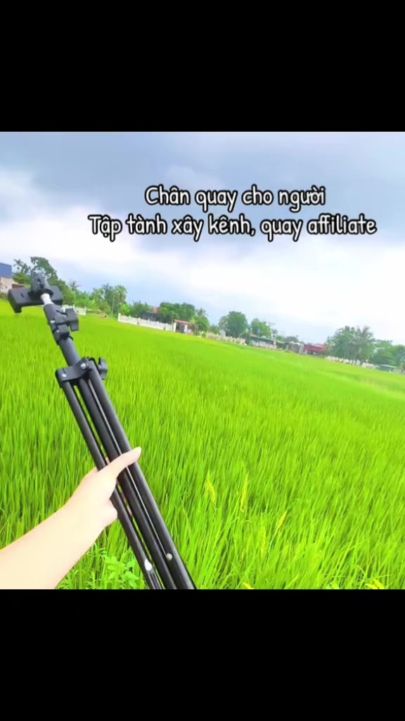 @Bích Ngọc DIỆU BÁU