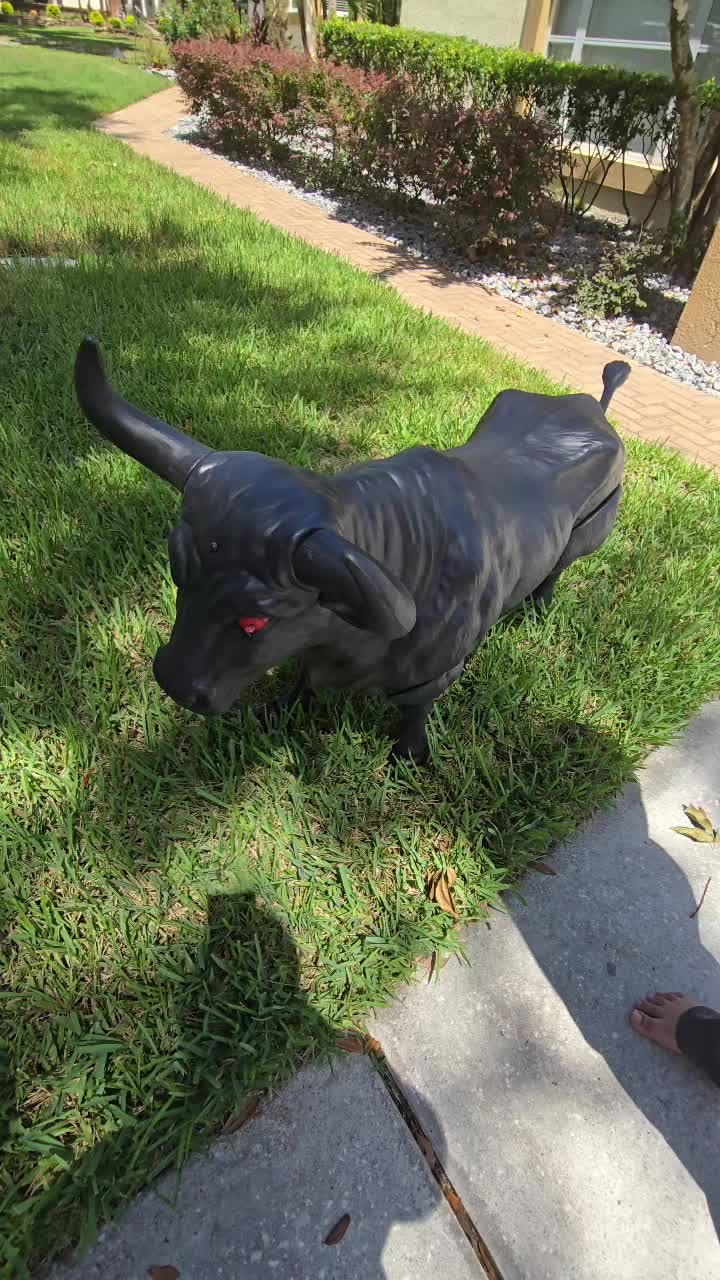 @#shaqcoello