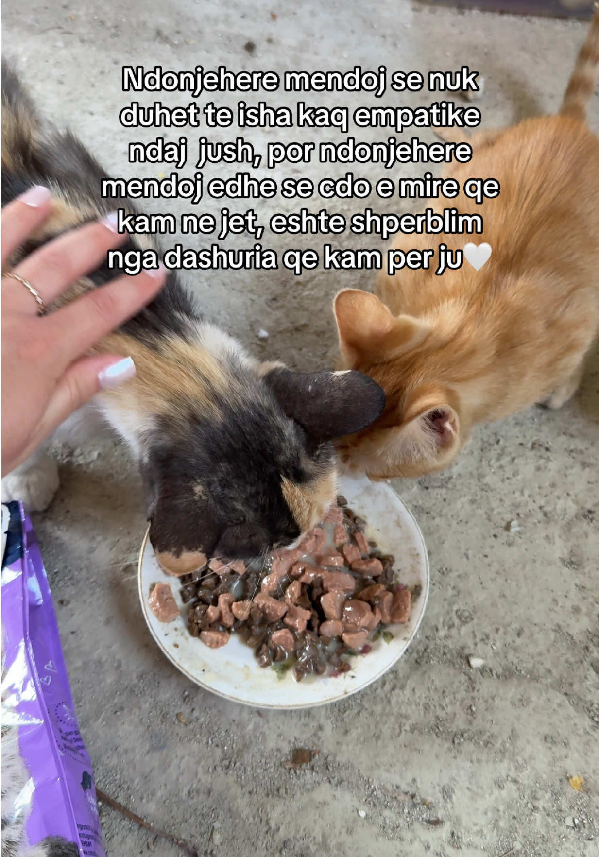 @๐ฅ๐๐๐๐๐๐ฝ๐บ.๐ฏ