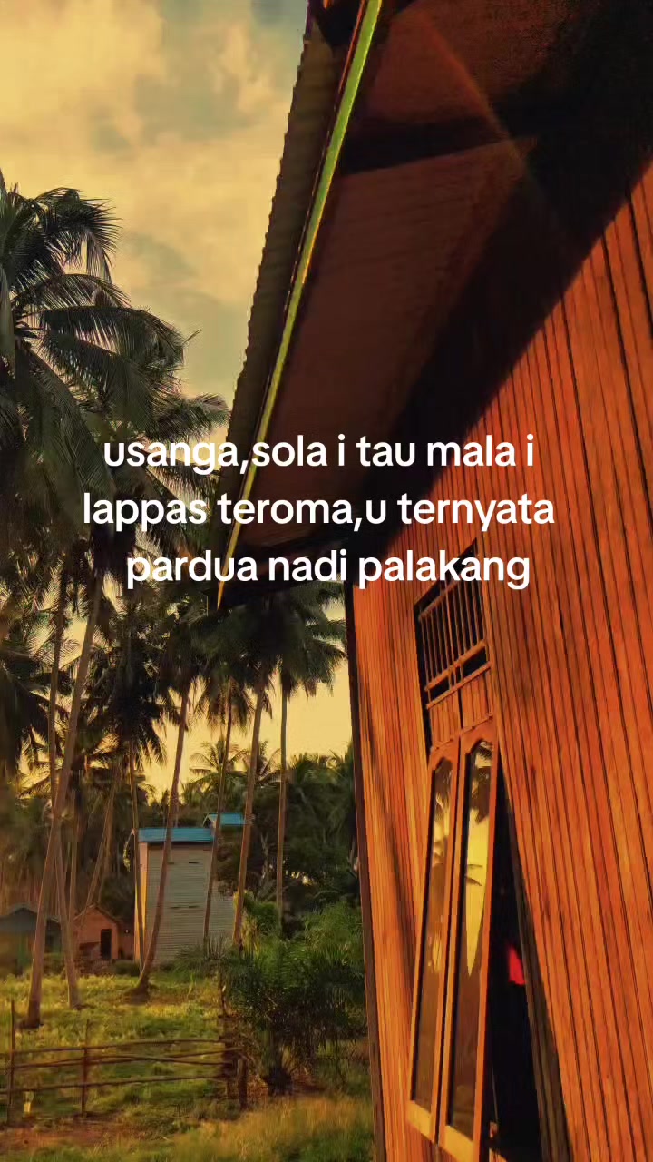 @DAN 💥