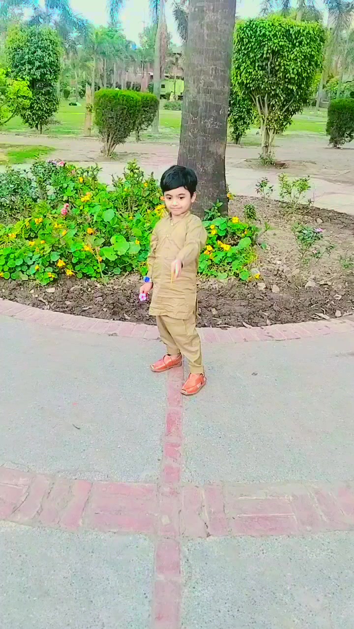 @Salman Mughal🤗