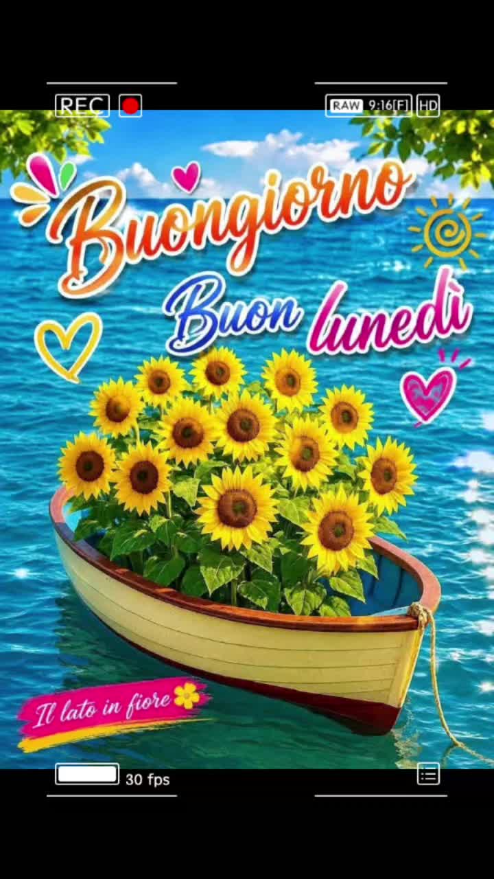 @caterinabiamonte kate