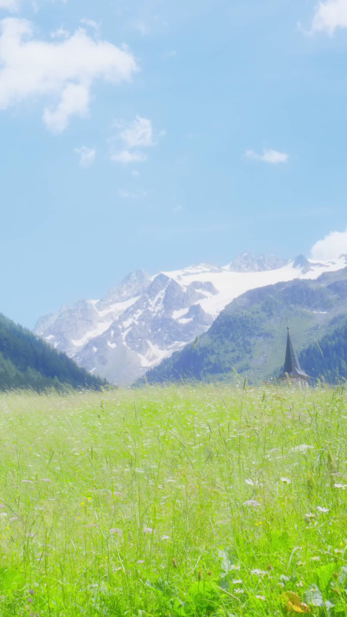 @Fiakosaure 🗻📹