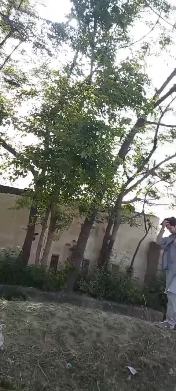 @Asim Shah