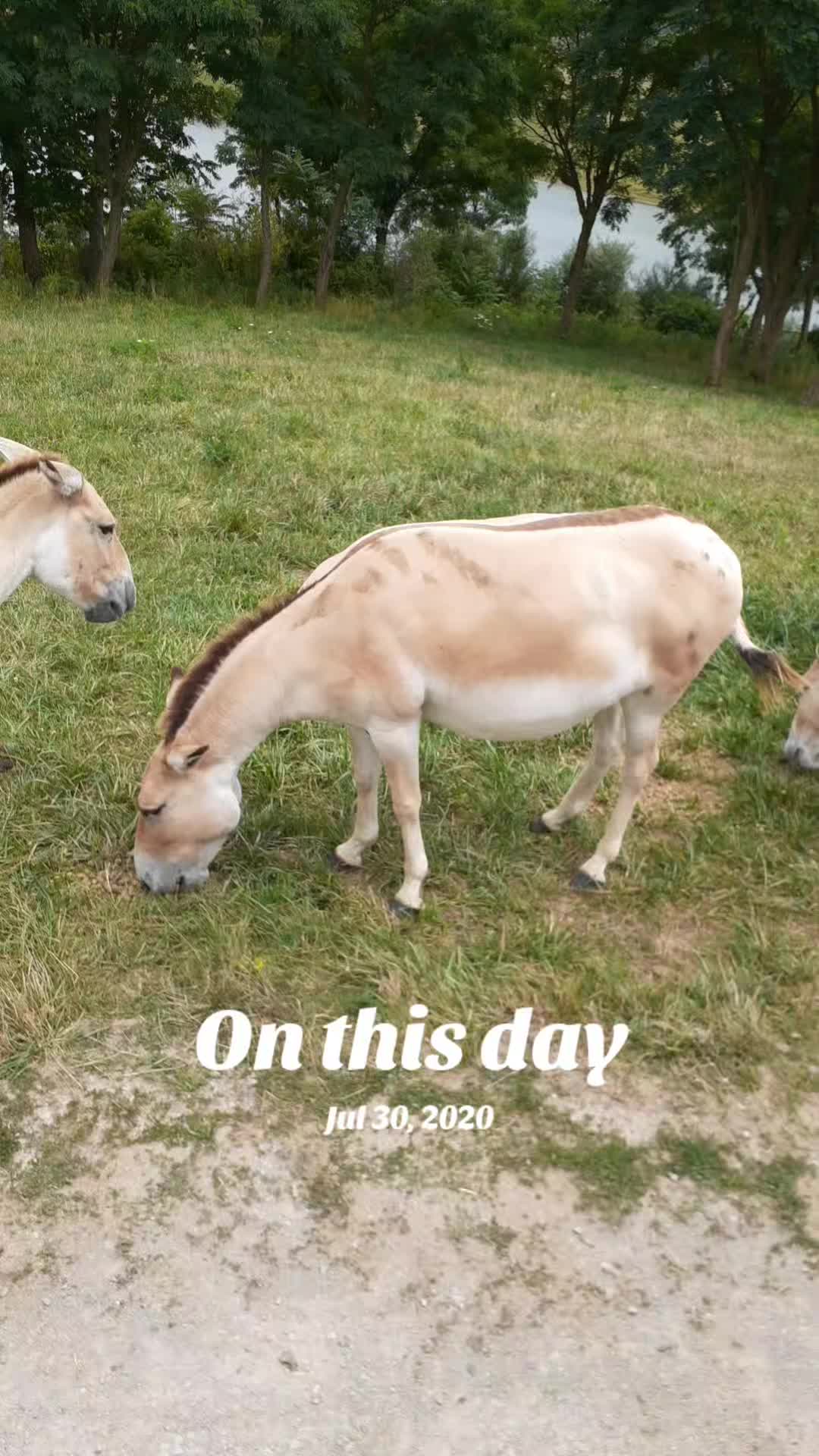 @PandaGrrrl