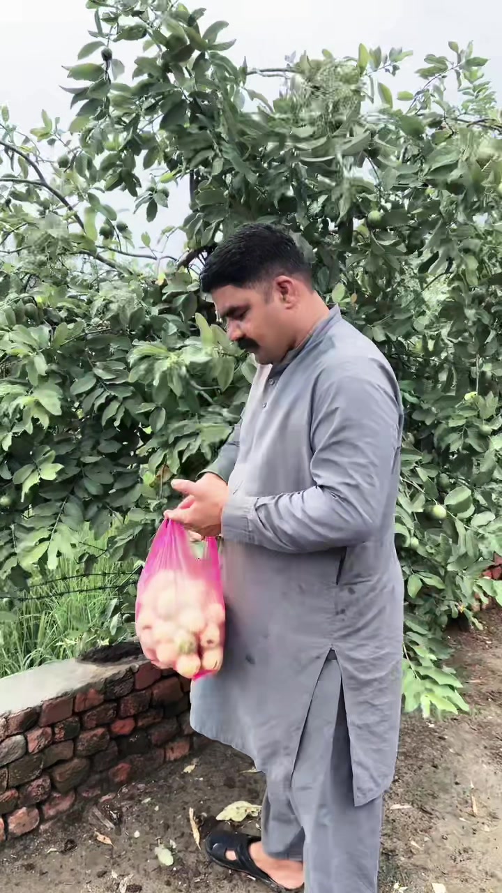@Alihassantoor